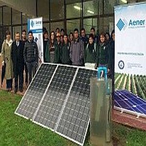 Schüler stehen hinter Solarpanel
