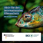 IKI-Jahresbericht 2020