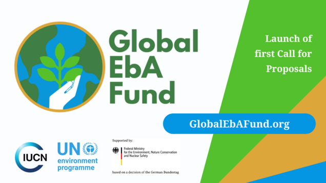 IKI is financing the Global EbA Fund with 20 million euros. Photo: Global EbA Fund Logo