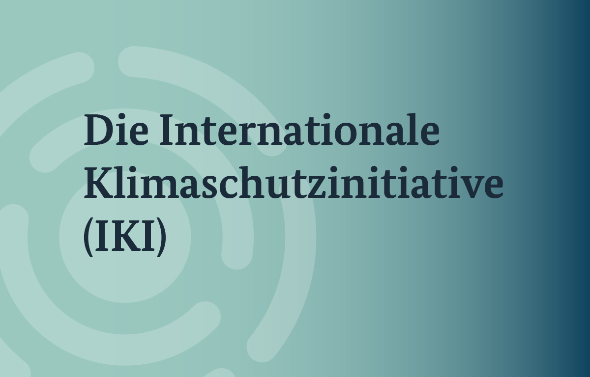 UN Decade on Ecosystem Restoration  Internationale Klimaschutzinitiative  (IKI)